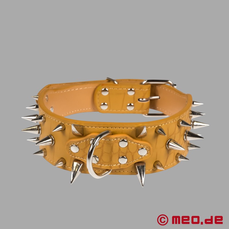 Spiked Collar Human